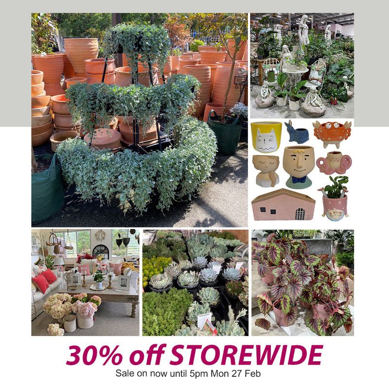 30% off Storewide Sale at Poppy's Home and Garden