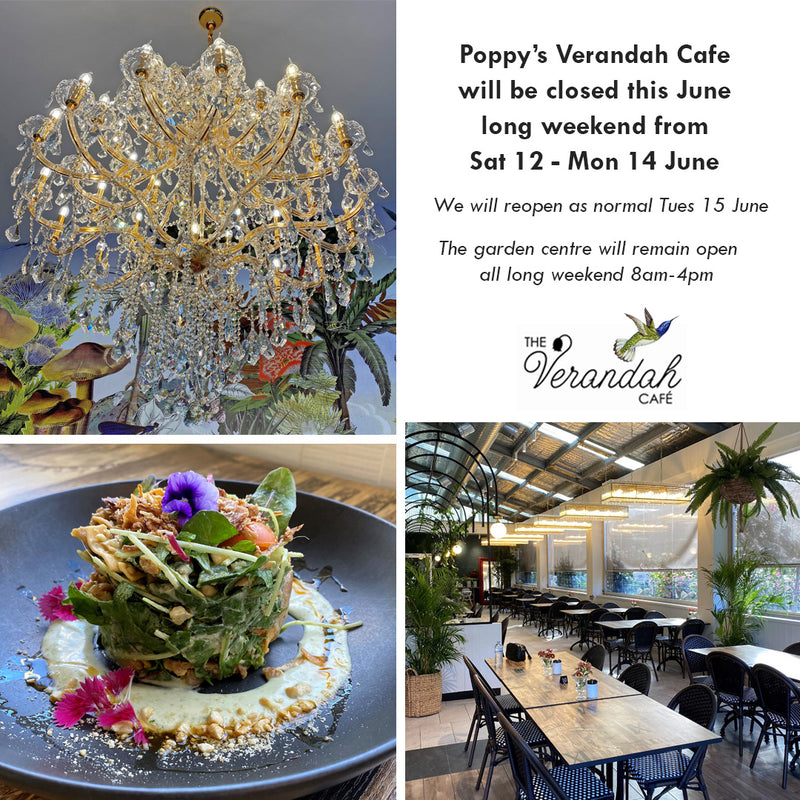 The Verandah Cafe - Closed Sat 12 - Mon 14 June