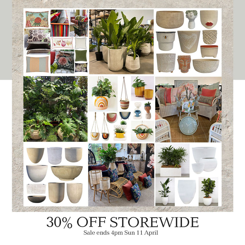 Poppy's 30% off Storewide Easter Sale on Now!