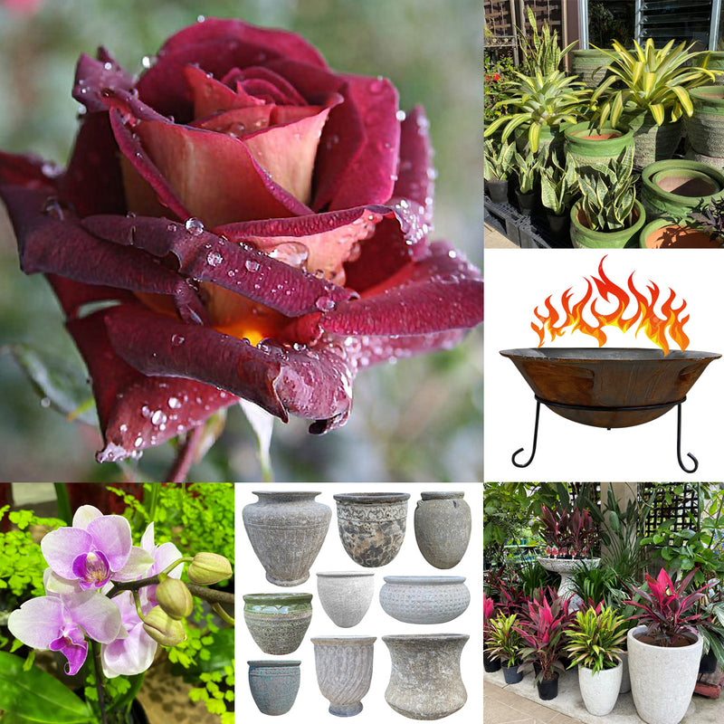 30% off Pots, Plants & Fire Pits at Poppy's