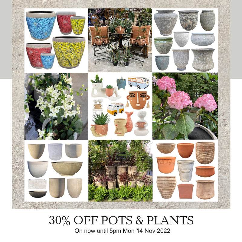 30% off Pots and Plants Sale