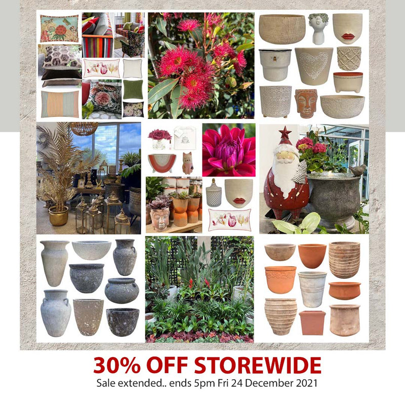 Poppy's 30% off Storewide Xmas Sale on Now!