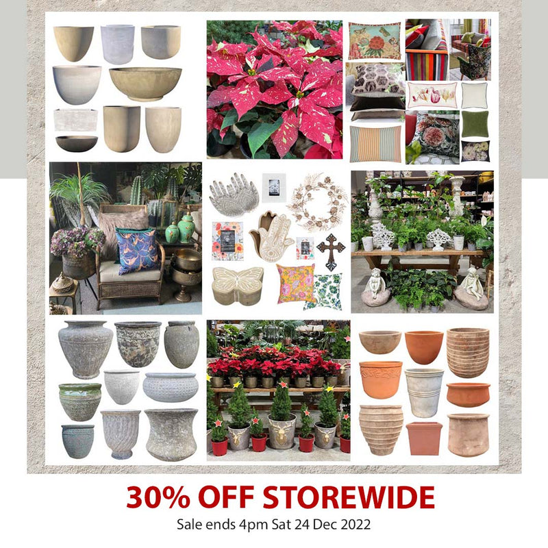 Poppy's 30% off Storewide Xmas Sale