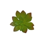 Green/Red Mini Succulent Artificial