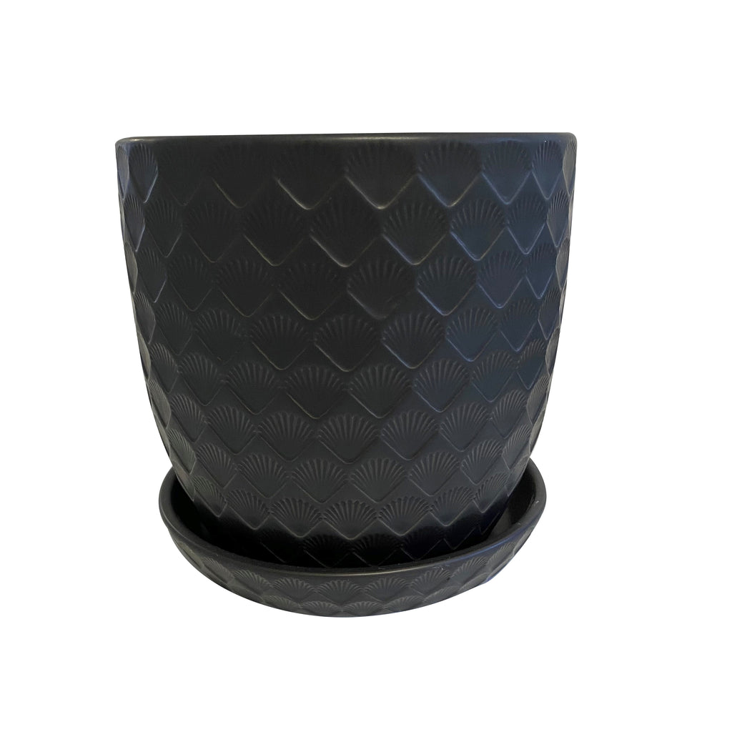 Shell Pot with Saucer Black